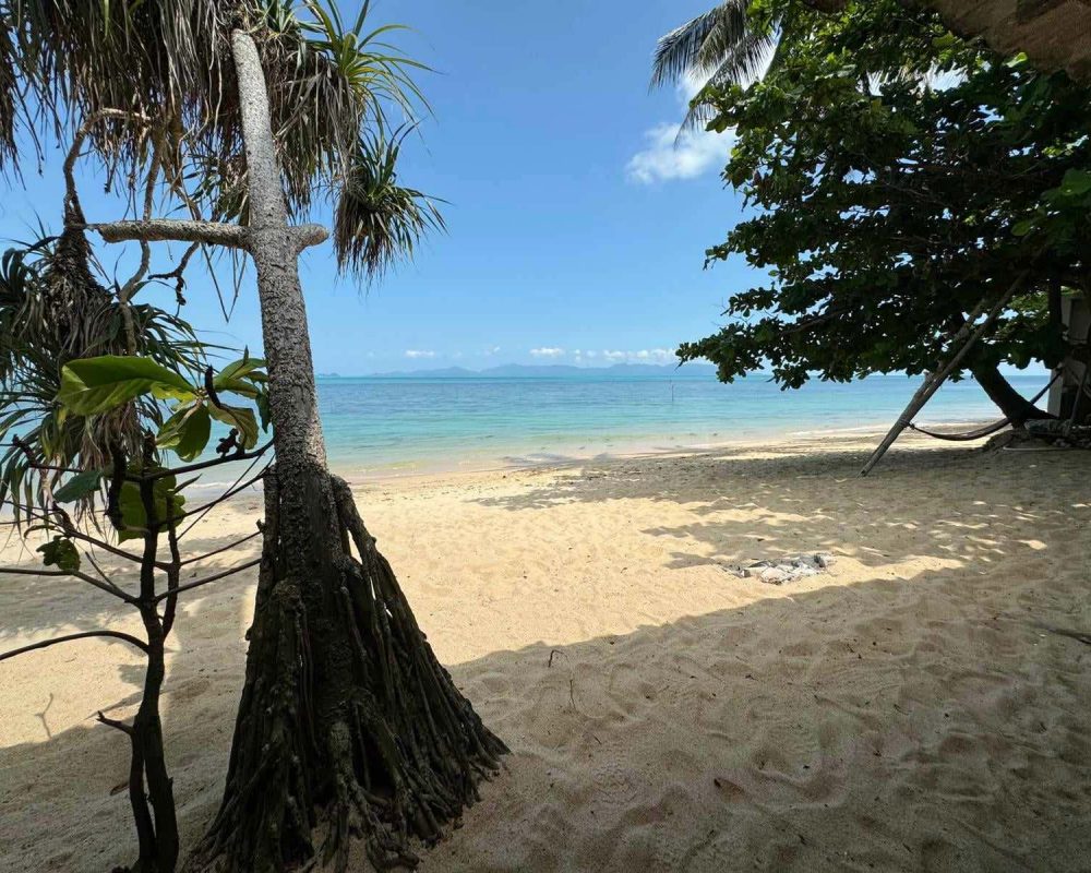Samui-Island-Holiday-Rentals-1