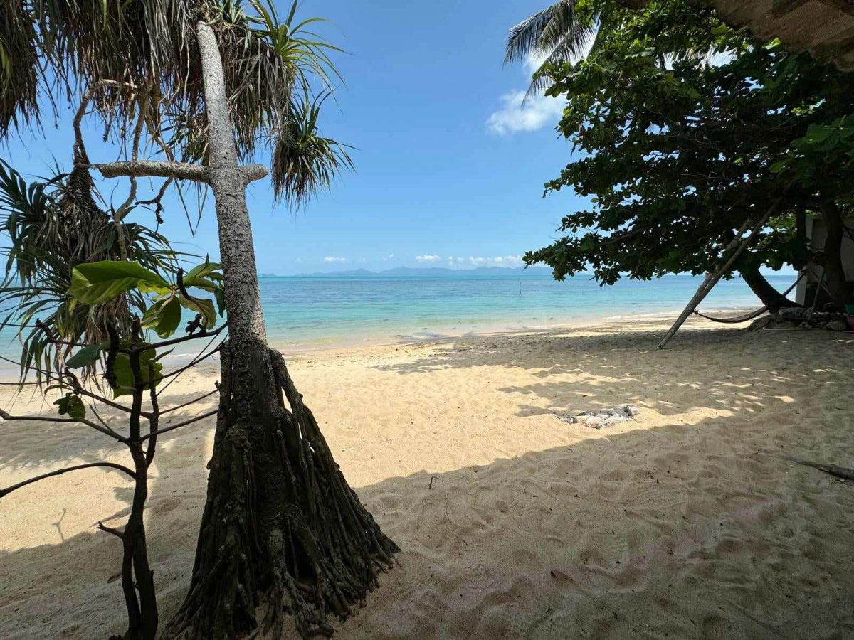Samui-Island-Holiday-Rentals-1