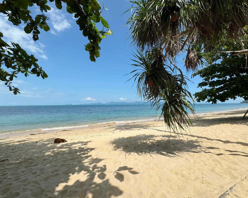 Samui-Island-Holiday-Rentals-14