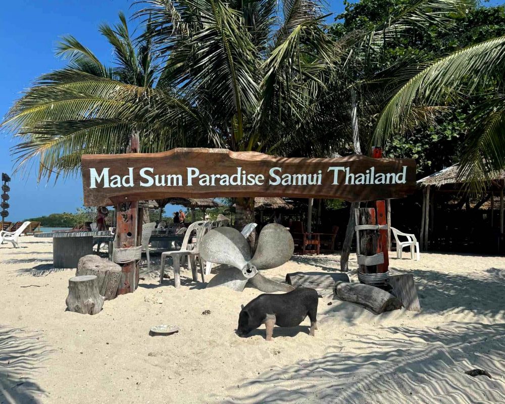 Samui-Island-Holiday-Rentals-8