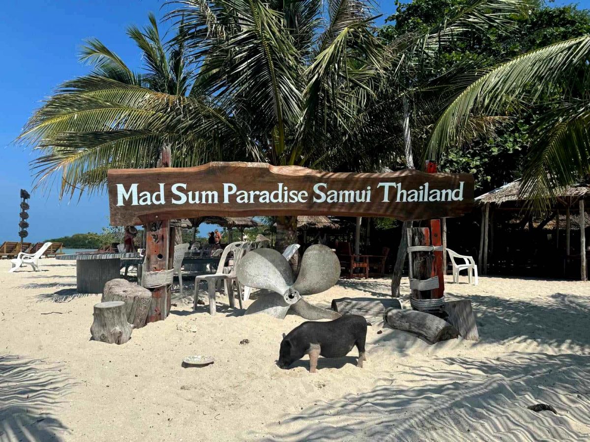 Samui-Island-Holiday-Rentals-8